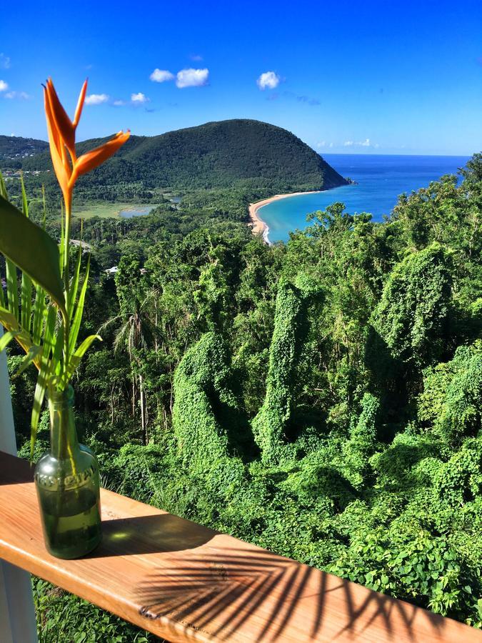 Du Cote De Chez Swann Villa Deshaies Dış mekan fotoğraf